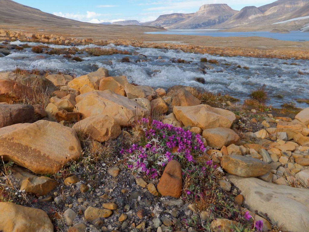 10 Largest Islands In The World: Ellesmere Island