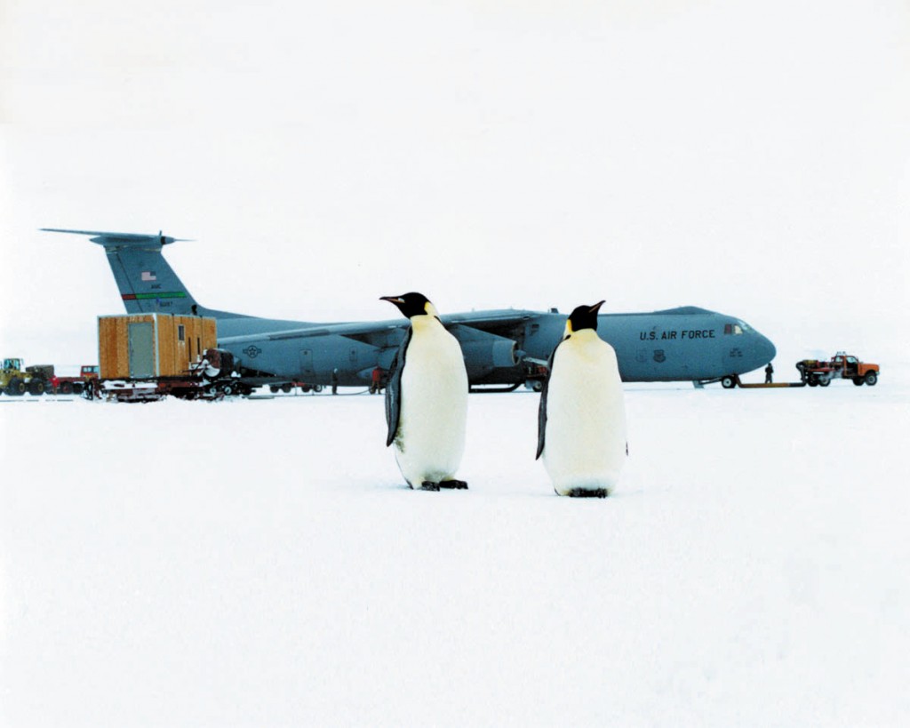 Ice Runway, Antartica - Penguins rarely approach the planes