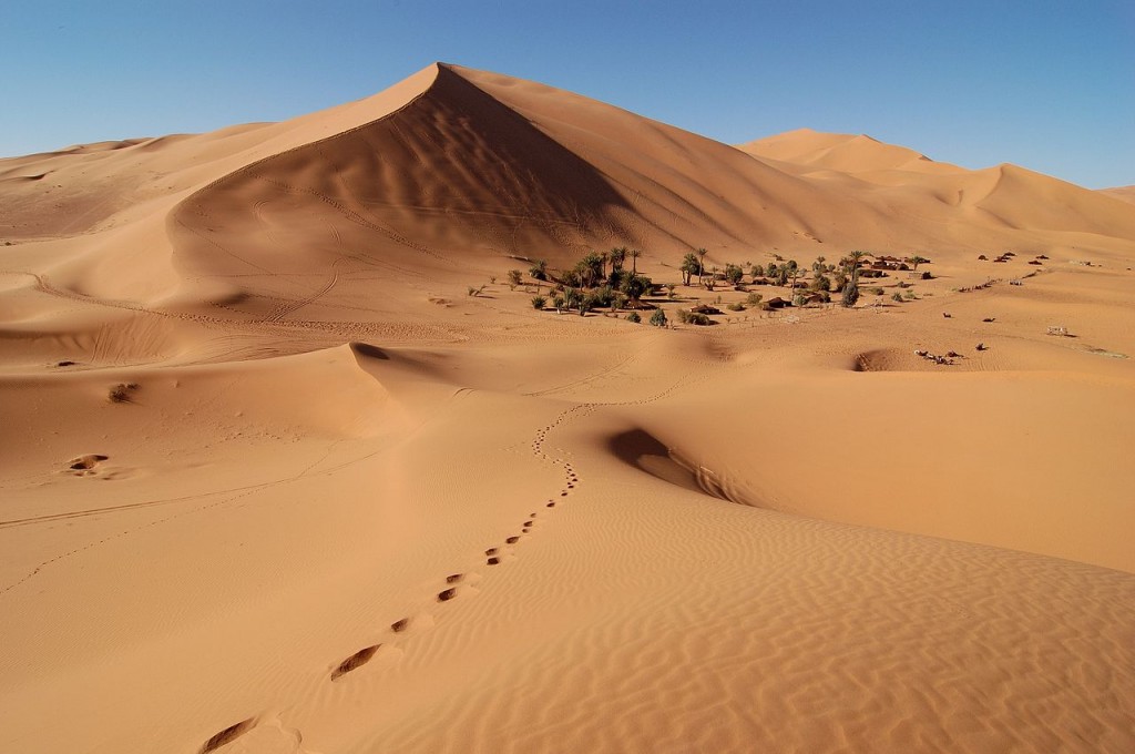 Sand dunes in Erg Chebbi, Morocco  (source: wiki)