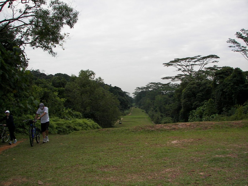 Most Famous Urban Parks: Bukit Timah Nature Reserve, Singapore