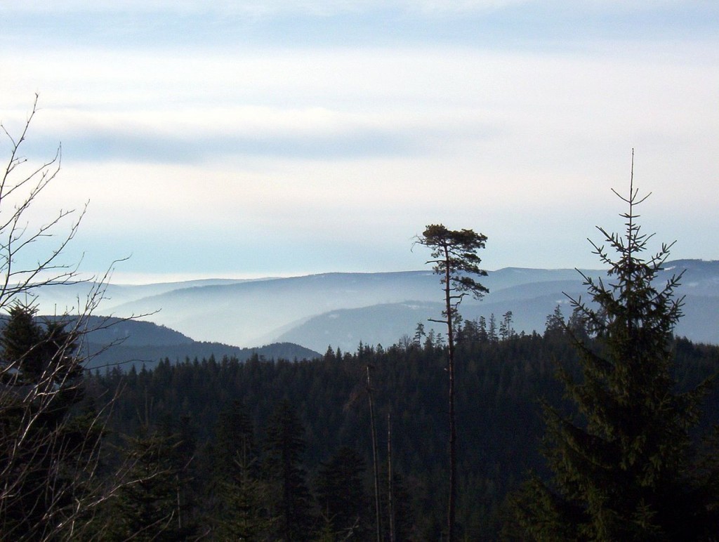 10 Most Beautiful Forests In The World: Black Forest, Germany