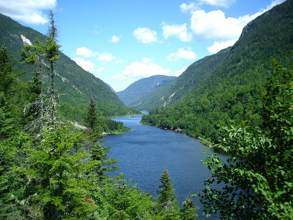 Forests in Quebec, Canada