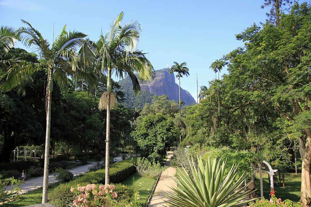 Best Botanical Gardens: Jardim Botשnico, Rio de Janeiro