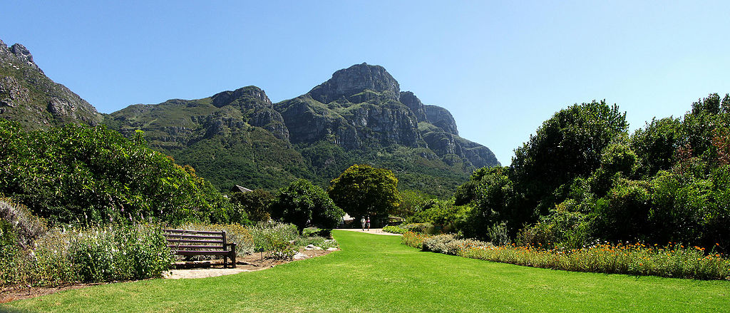 Best Botanical Gardens: Kirstenbosch National Botanical Garden, Cape Town