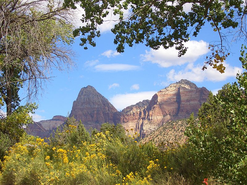 Most Visited National Parks In The US: Zion