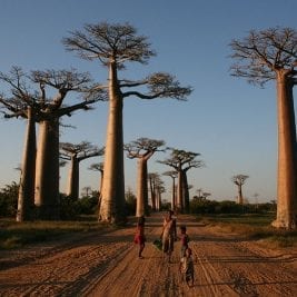 Natural Landmarks In Africa