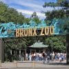 Best Zoos