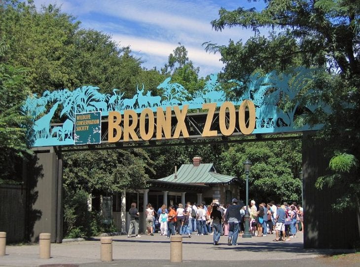 Best Zoos