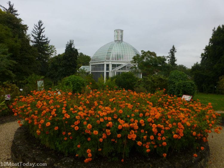 Best Attractions In Geneva: The Botanic Gardens