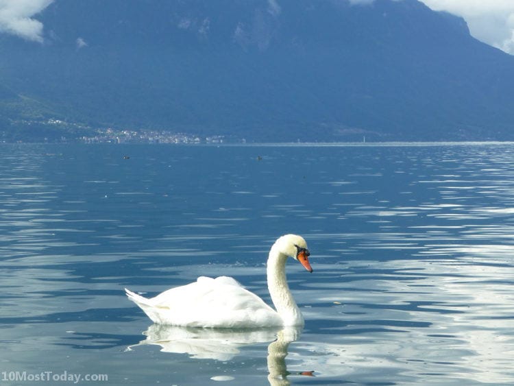 Lake Geneva, Montreux