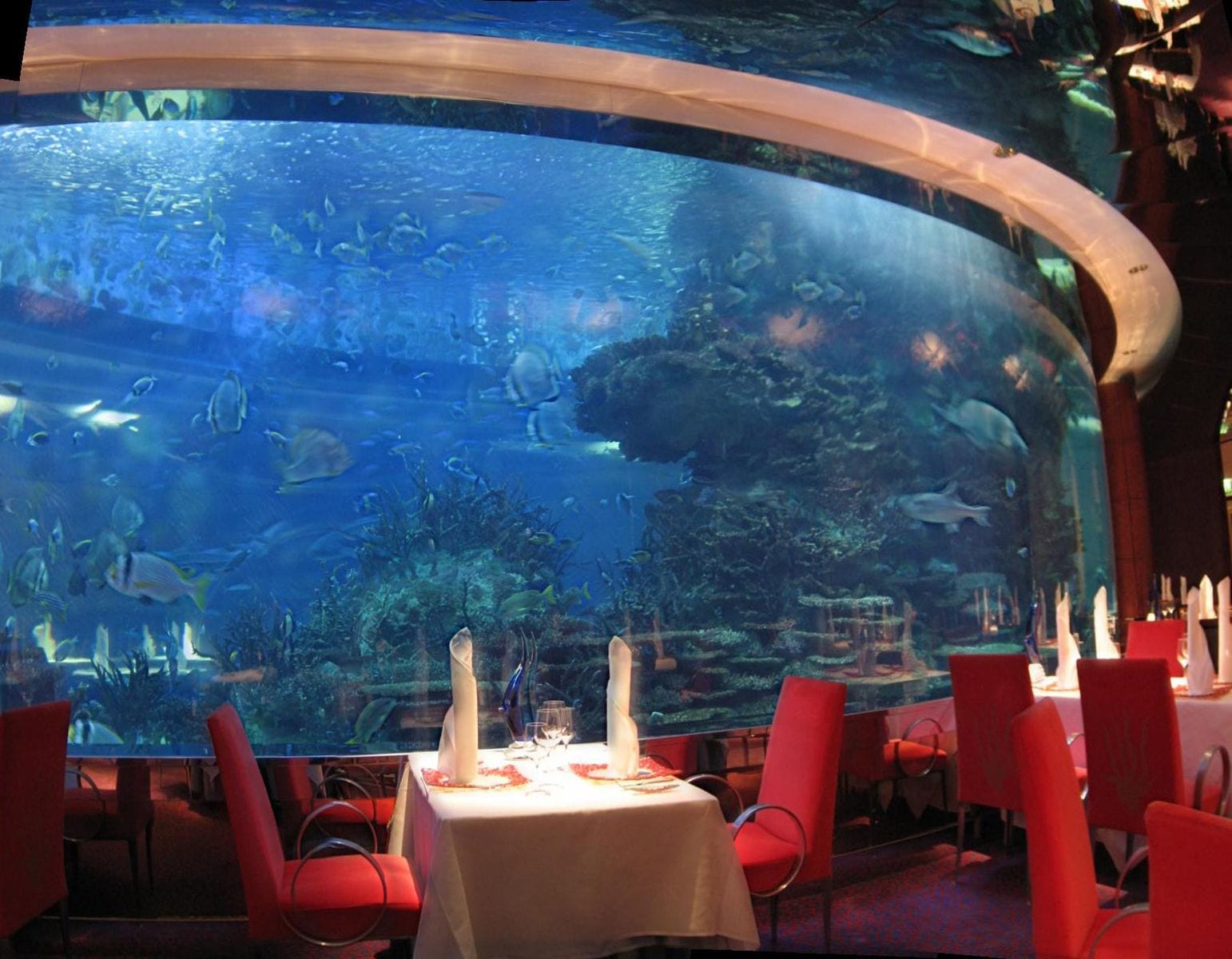 Intoxicating Underwater Restaurants