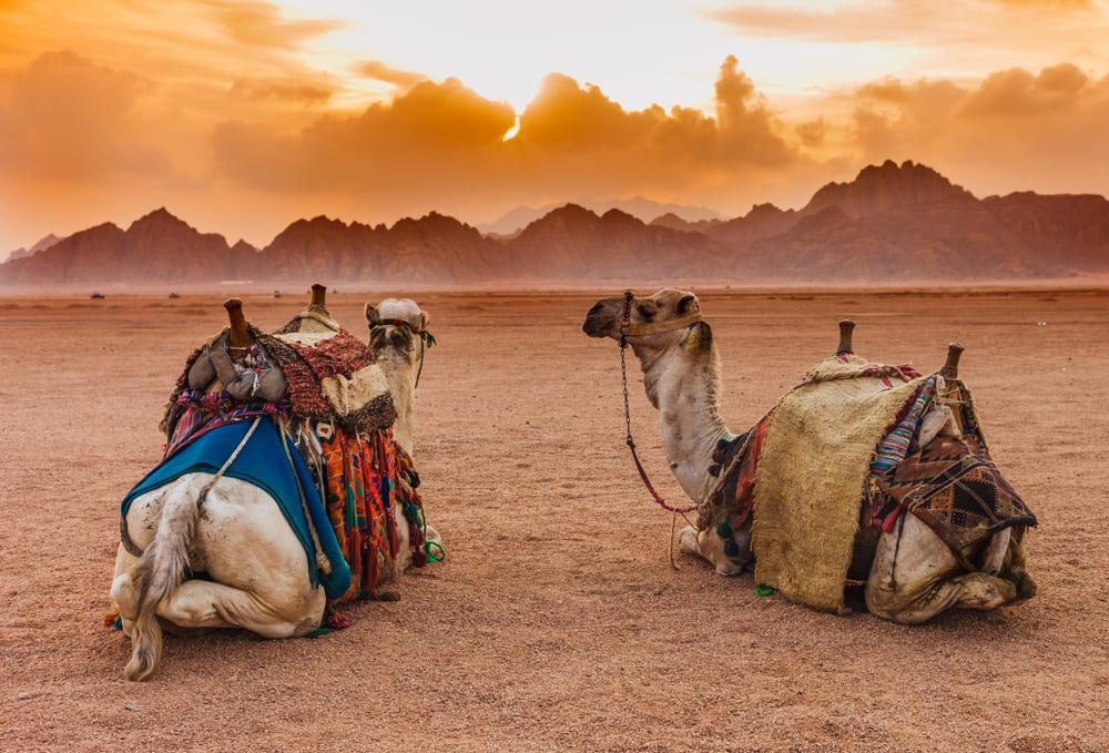 Most Breathtaking Desert Landscapes