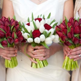 Most Popular Wedding Flowers - Tulip