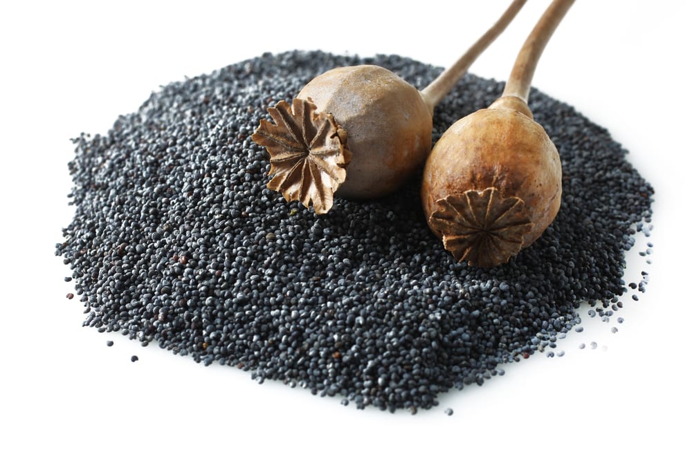 Most Nutritious Seeds - Poppy Seeds
