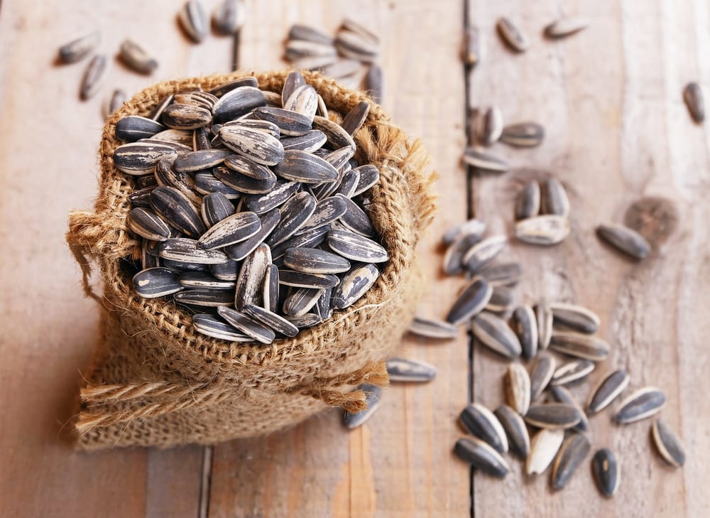Most Nutritious Seeds - Sunflower seeds
