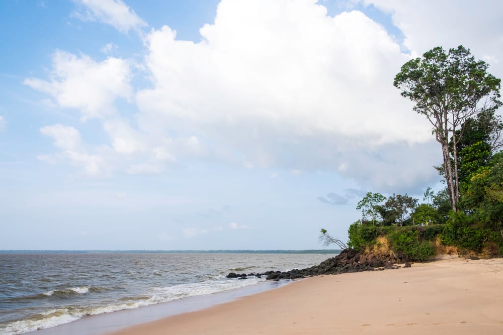 Most Dangerous Beaches - Amazon Beaches