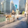 Most Pet-friendly Cities - Chicago IL