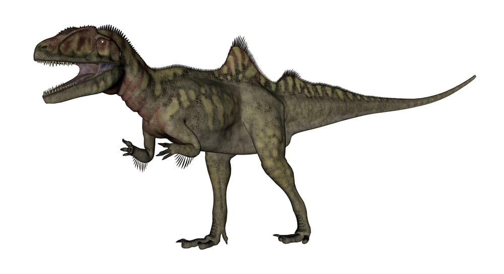 Most Bizarre Dinosaurs - Stygimoloch