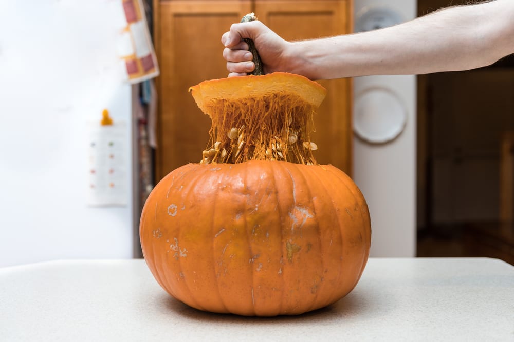 Most Creative Uses for Your Pumpkins - Make a pumpkin stock out of its guts
