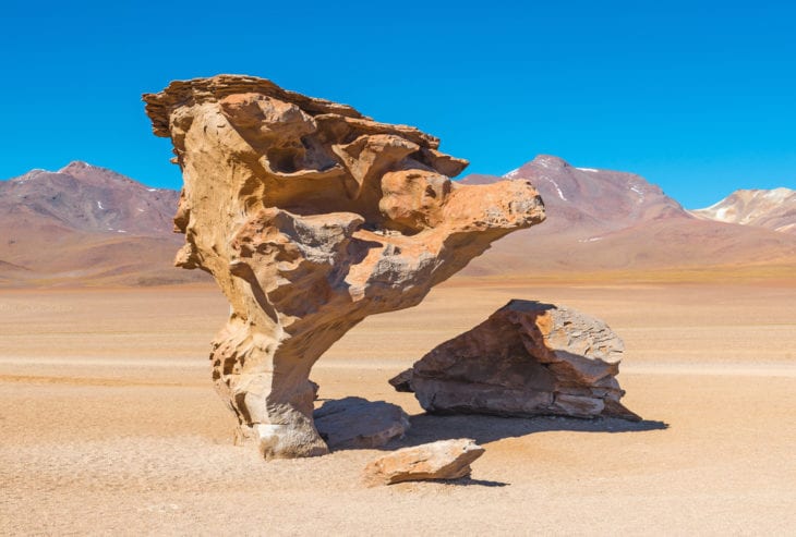 Rarest Rocks - Stone Tree in Bolivia