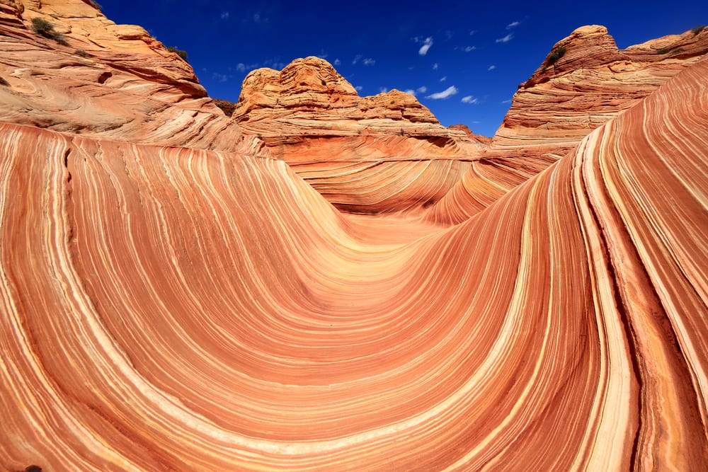 Rarest Rocks - Wave in the USA