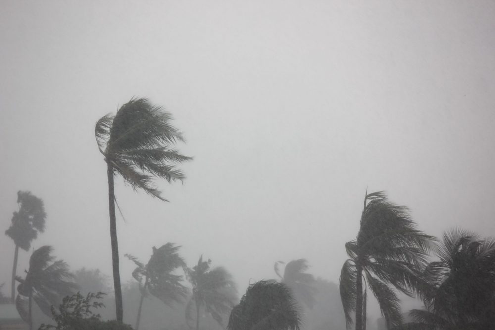 Most Destructive Typhoons - Nina