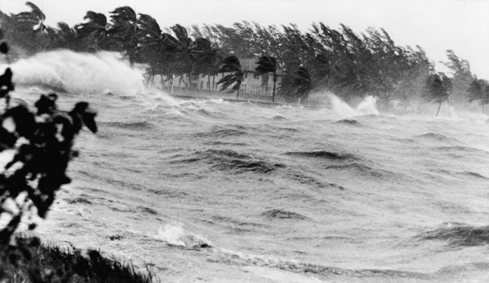Most Destructive Typhoons - Vera