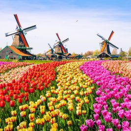 Happiest Countries in the World - Netherlands