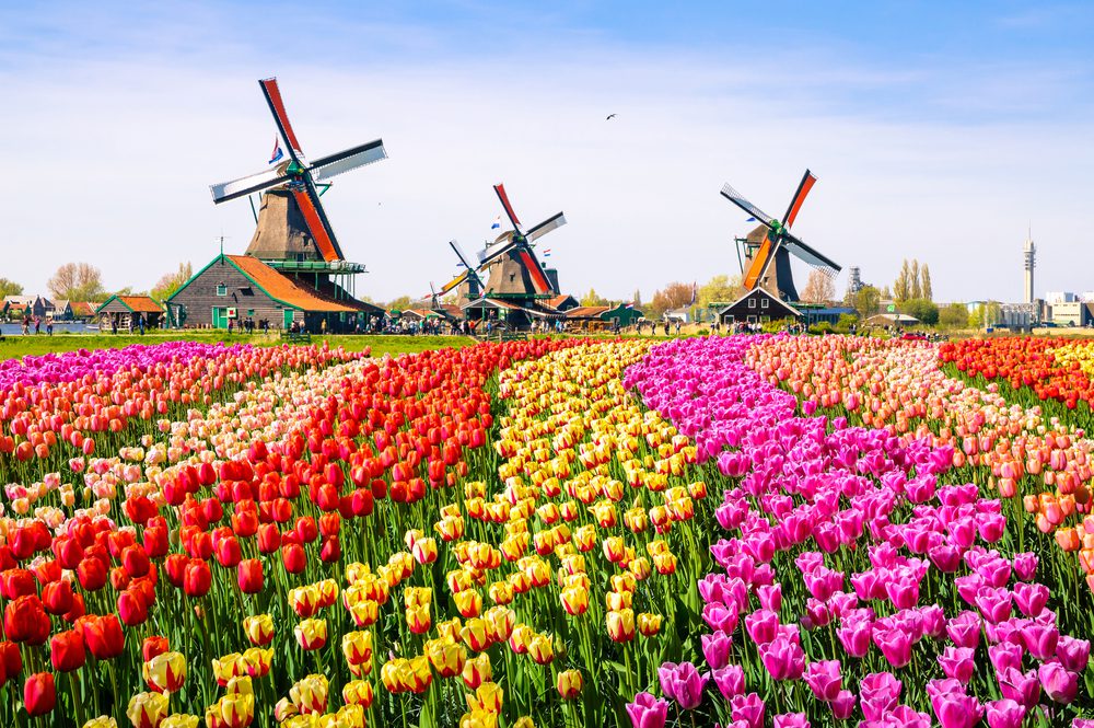 Happiest Countries in the World - Netherlands